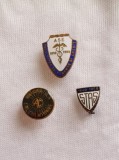 Insigne RPR-RSR: ASE, Calculatoare, STAS (1950-1980), Insigne Romania Vechi, Insigna Colectie