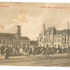 5091 - ORADEA, Market, Romania - old postcard - used - 1915