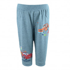 Pantaloni sport pentru baieti Disney Cars DISK-JPTR51528G, Gri foto