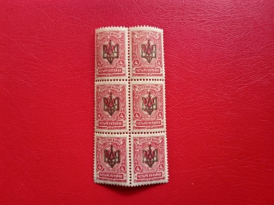 1918 - UCRAINA - Russian Postage Stamps of 1915-1917 Overprinted - BLOCK MNH foto