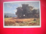 HOPCT 23580 LANURI DE GRAU- ALEXANDRE CALAME -ELVETIA --MUZEE - CP PICTURA --NECIRCULATAMUNTII