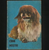 Cumpara ieftin C&Acirc;INII / C&Icirc;INII NOSTRI BULETIN DOCUMENTAR 1984 - ZOE DUMITRESCU - BUSULENGA