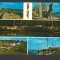 CPIB 19366 CARTE POSTALA - COSTINESTI. MOZAIC