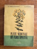 Plantele medicinale din Flora Spontana - C. Constantinescu / R8P3S