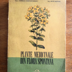 Plantele medicinale din Flora Spontana - C. Constantinescu / R8P3S