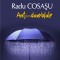 Anti-damblale - Paperback brosat - Radu Cosaşu - Polirom T13