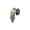Sonda Lambda BMW 5 Touring E61 BOSCH 0258005309