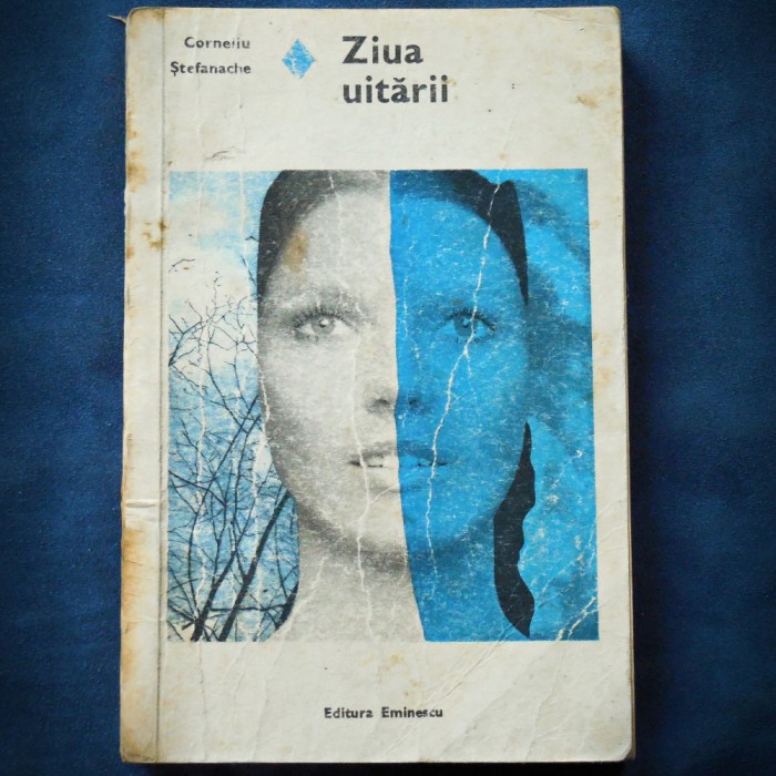 ZIUA UITARII - CORNELIU STEFANACHE