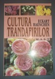 Eckart Haenchen&nbsp;-&nbsp;Cultura trandafirilor