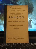 Statutele Băncei Brahașești din com. Brăhășești jud. Tecuci, Giurgiu 1912, 201