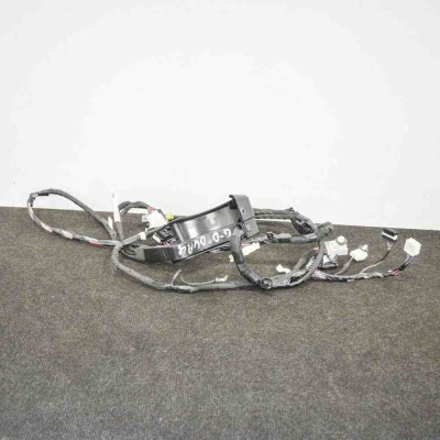 Cablaj ușă dreapta spate TESLA MODEL X 2018 OEM: 1032882-70-F 10038680 foto