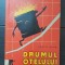 Drumul oțelului - Costin Mandi (colecția ȘTIINȚA &Icirc;NVINGE)