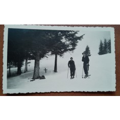 Fotografie, familiaLitarczek la schi la Predeal, 1934