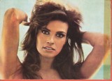 AS - C.P. RAQUEL WELCH - COLECȚIA CASA FILMULUI, NECIRCULATĂ (STAREA CARE SE VEDE)