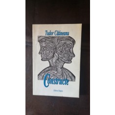 Constructe - Tudor Catineanu