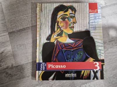 Picasso de Francesco Galluzzi foto