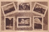 Busteni (circulata 1949)