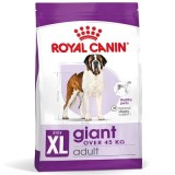 Cumpara ieftin Hrană uscată pentru c&acirc;ini Royal Canin Giant Adult XL 15 kg