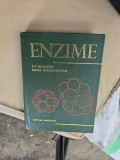 Enzime - I.F. Dumitru, Dana Iordăchescu