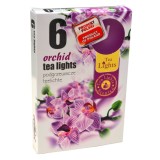 Lumanare parfumata tip pastila LP6321, timp ardere 4 ore, aroma orhidee, set 6 bucati, Bolsius