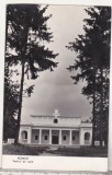 bnk cp Roman - Teatrul de vara - circulata
