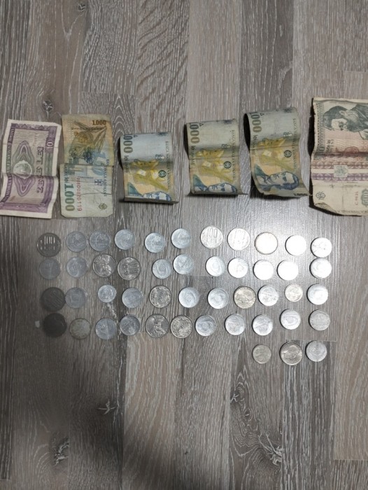 bancnote și monede vechi rom&acirc;nești