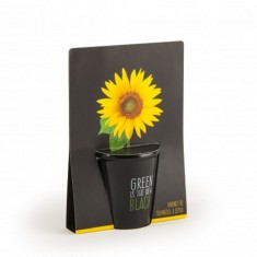 Kit complet pentru plantat cu seminte de floarea-soarelui - Green is the new black | Radis et Capucine