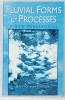FLUVIAL FORMS and PROCESSES , A NEW PERSPECTIVE by DAVID KNIGHTON , 1998