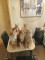 Pisica main coon - 1