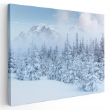 Tablou peisaj brazi munte iarna Tablou canvas pe panza CU RAMA 60x80 cm