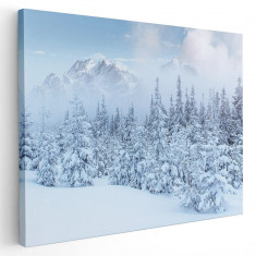 Tablou peisaj brazi munte iarna Tablou canvas pe panza CU RAMA 60x90 cm