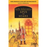 APUS DE SOARE