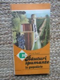 Bauturi spumante in gospodarie &ndash; Ion. M. Pusca