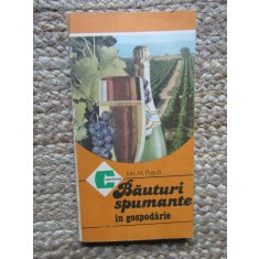 Bauturi spumante in gospodarie &ndash; Ion. M. Pusca