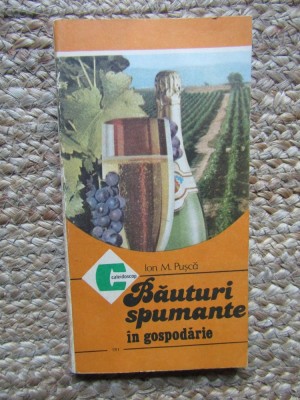 Bauturi spumante in gospodarie &amp;ndash; Ion. M. Pusca foto