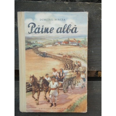 PAINE ALBA - DUMITRU MIRCEA foto