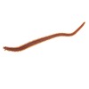 Naluca Berkley Gulp Sandworm Dark Brown 15cm