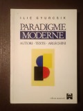 Ilie Gyurcsik - Paradigme moderne - autori; texte; arlechini. Eseu de hermeneutică paradoxală
