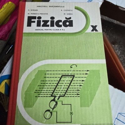 Fizica, manual pentru clasa a X-a - D. Borsan foto