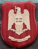 D16 30 - Placheta - Centrul militar zonal Constanta 40 ani - 1960 - 2008