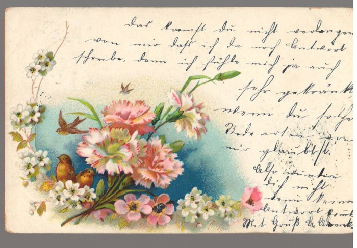 CPIB 23943 - CARTE POSTALA - FELICITARE - FLORI, GERMANIA, CIRCULATA, 1902, STAMPILA, TIMBRU