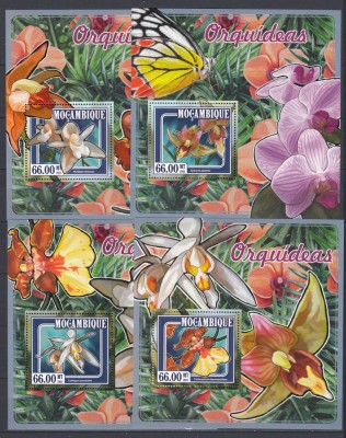 Mozambic 2015- Flori -ORHIDEE - 4 Colite de lux - MNH foto