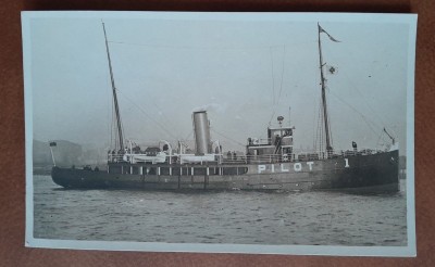 Carte postala, necirculata, vaporul Pilot, inceput de secol XX foto
