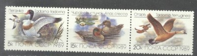 Russia USSR 1989 Birds, Ducks, strip, MNH M.280 foto