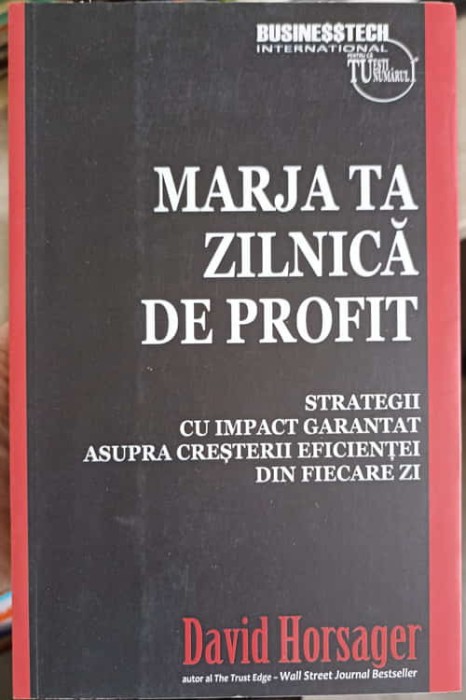 MARJA TA ZILNICA DE PROFIT-DAVID HORSAGER-248780