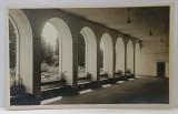 AVRIG , PARK SANATORIUM BRUKENTHAL , ARCADE SPRE GRADINA , FOTOGRAFIE FORMAT CARTE POSTALA , INTERBELICA