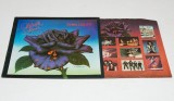 Thin Lizzy &ndash; Black Rose (A Rock Legend) - disc vinil vinyl LP