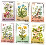 Romania (77) - Plante medicinale, 1993, serie neobliterata