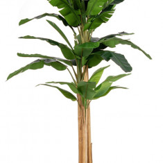 Planta artificiala in ghiveci Banan, Bizzotto, Ø180 x 320 cm, 30 frunze, frunze de arbore de cauciuc/trunchi de bananier