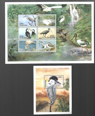 tanzania pasari mnh foto